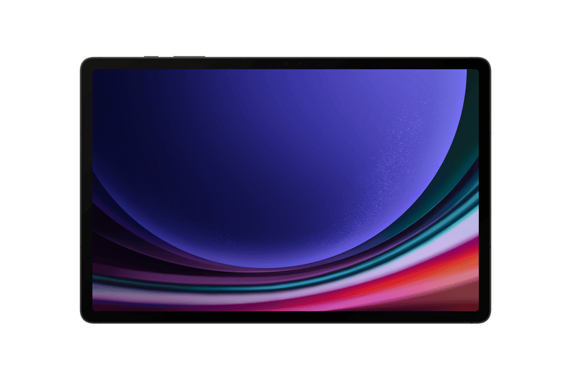 Samsung Galaxy Tab S9+ WIFI 12GB 256GB Gray