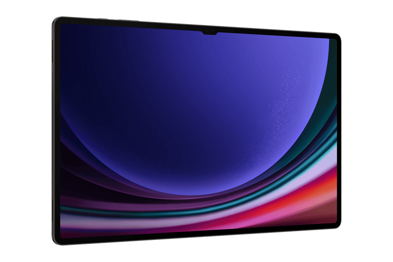 Samsung Galaxy Tab S9 Ultra WIFI 12GB 256GB Gray