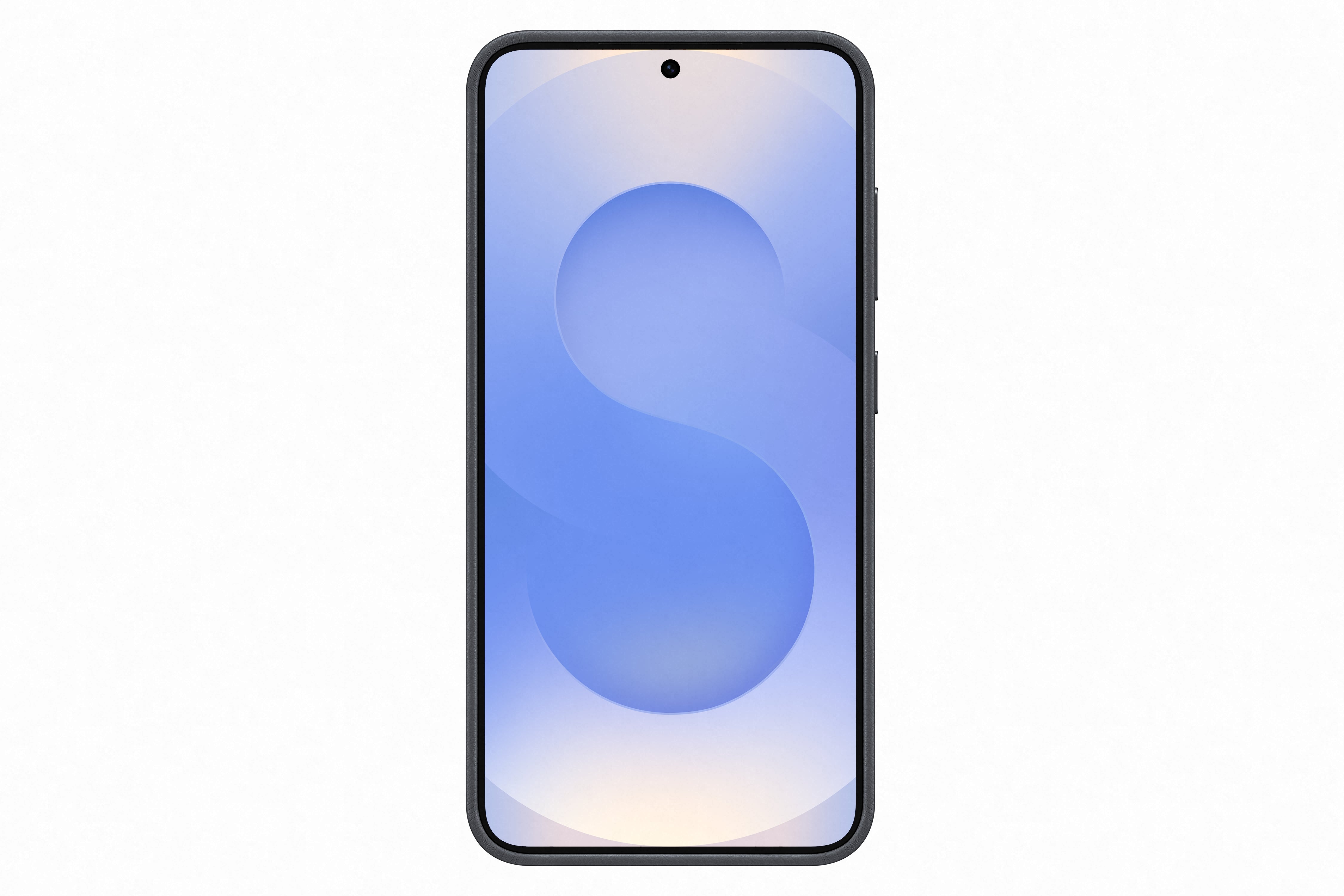 Samsung Galaxy S25 Kindsuit Case Black