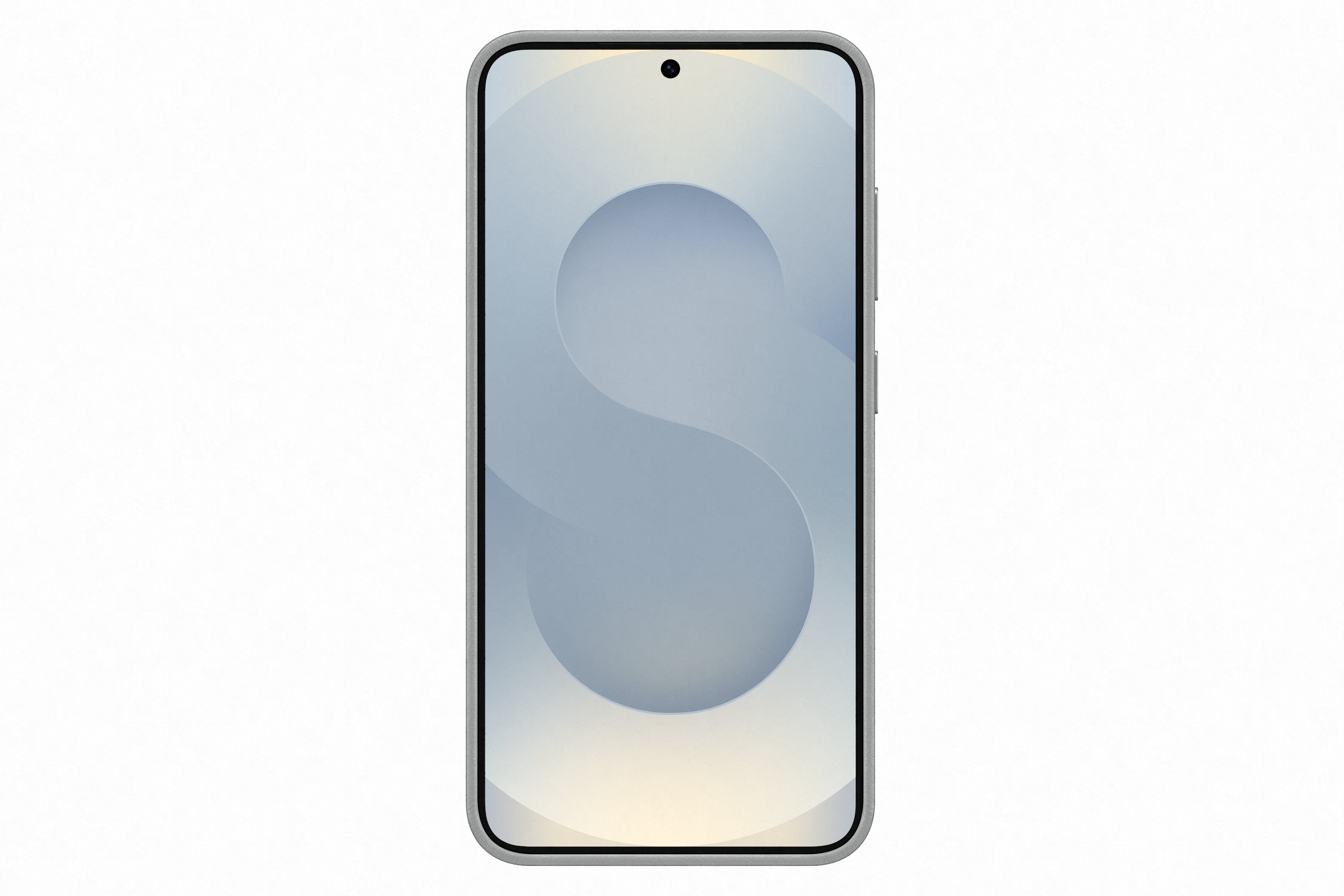 Samsung Galaxy S25 Kindsuit Case Gray