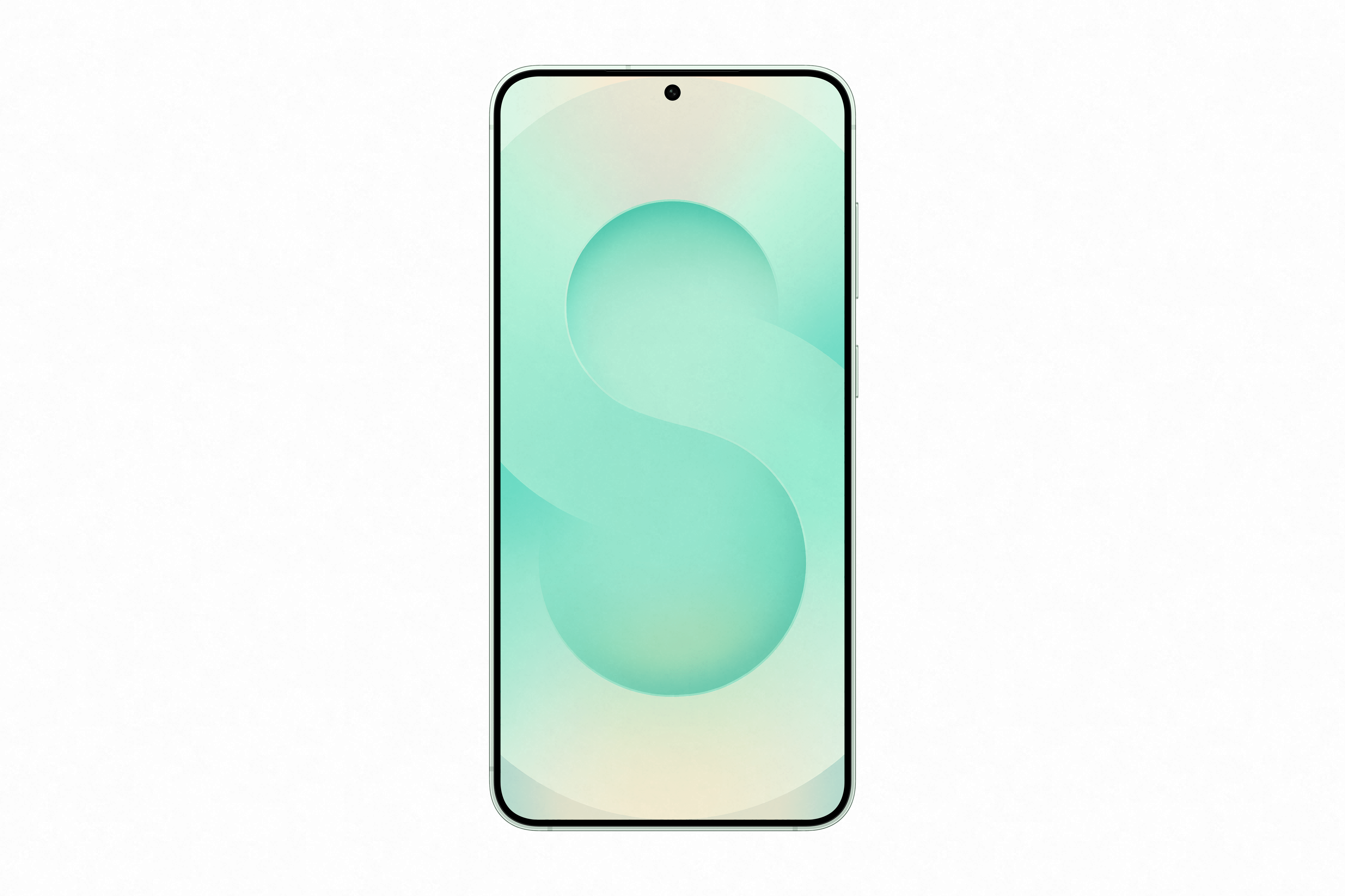 Samsung Galaxy S25 5G 12GB 256GB Mint